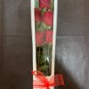 067 - Imagen 2